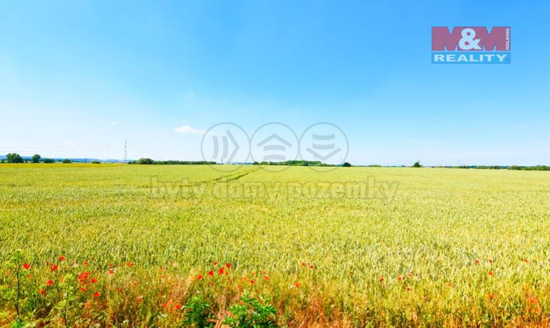 Prodej zemědělské půdy, Kostelec nad Labem, T. G. Masaryka, 73368 m2