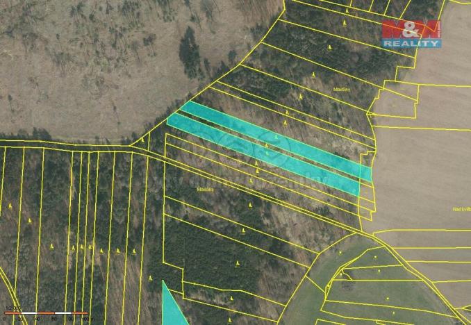 Prodej lesa, Stehlovice, 3290 m2