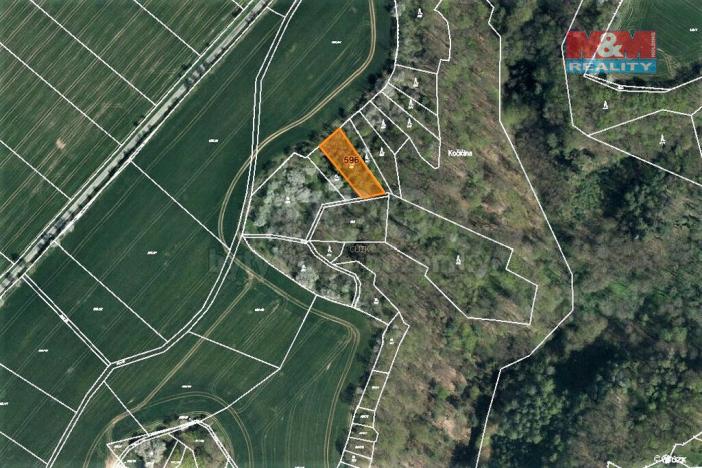 Prodej lesa, Mšeno, 1050 m2