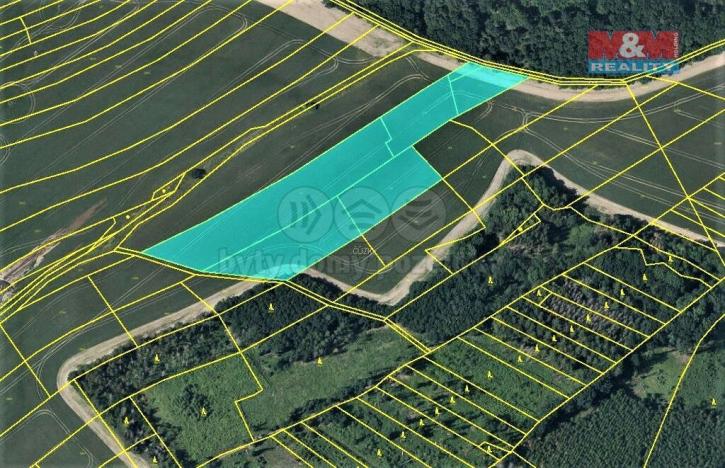 Prodej pole, Pavlov, 11645 m2