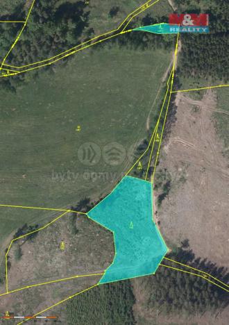 Prodej lesa, Vidochov - Stupná, 4368 m2