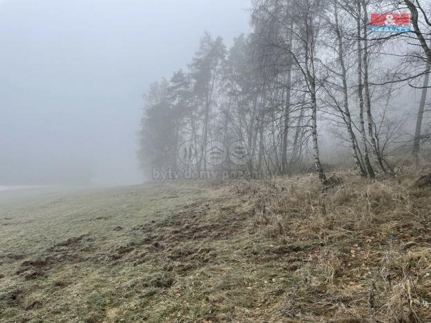 Prodej lesa, Stará Paka, 20974 m2