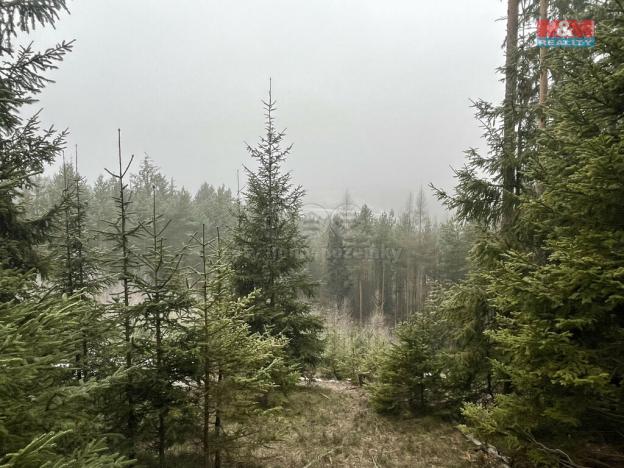 Prodej lesa, Pecka, 20194 m2