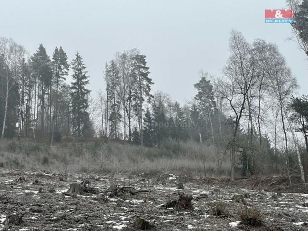 Prodej lesa, Pecka, 20194 m2