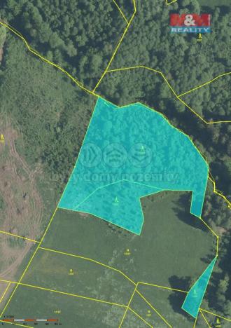 Prodej lesa, Košťálov, 33054 m2