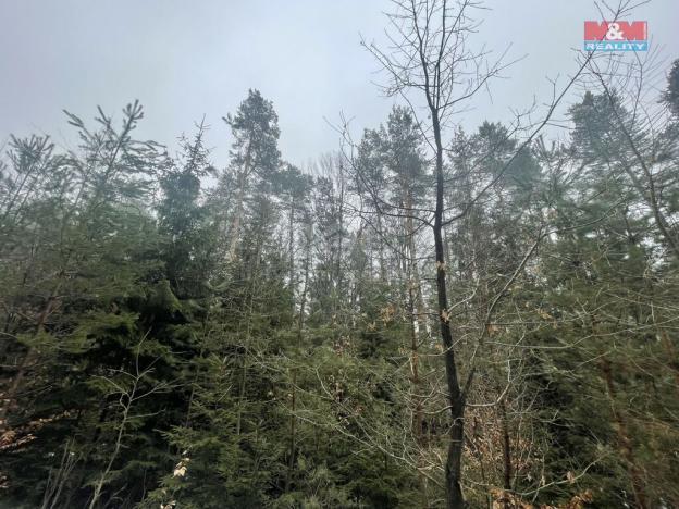 Prodej lesa, Záhoří - Smrčí, 12219 m2