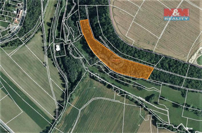 Prodej lesa, Skuteč, 14689 m2