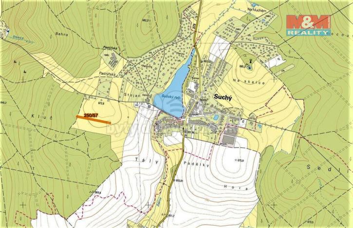 Prodej trvalého travního porostu, Velenov, 2885 m2