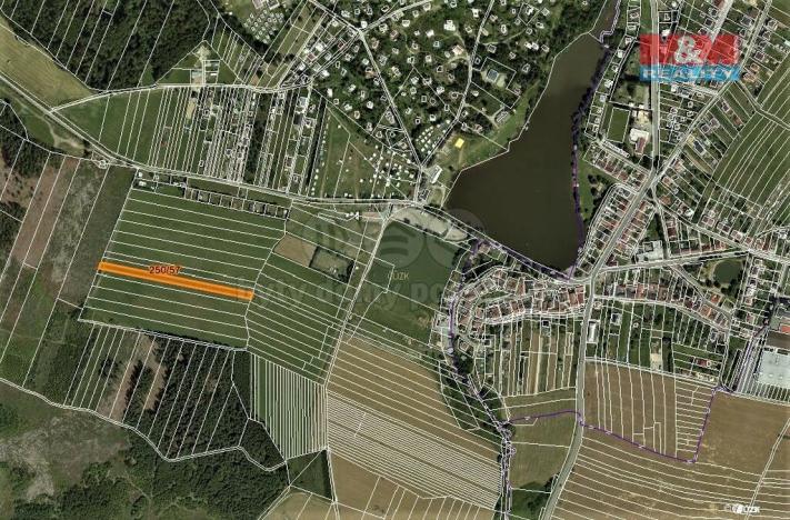 Prodej trvalého travního porostu, Velenov, 2885 m2