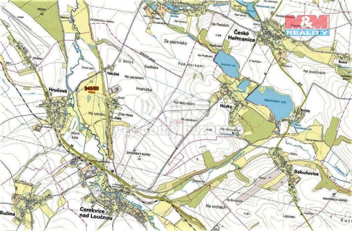 Prodej trvalého travního porostu, Cerekvice nad Loučnou, 1762 m2