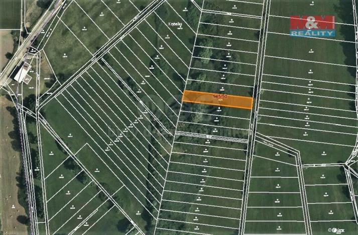 Prodej trvalého travního porostu, Cerekvice nad Loučnou, 1762 m2