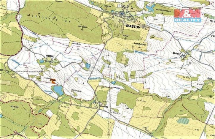 Prodej trvalého travního porostu, Mašťov - Dobřenec, 2603 m2