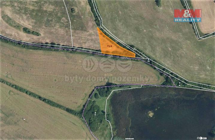 Prodej trvalého travního porostu, Mašťov - Dobřenec, 2603 m2