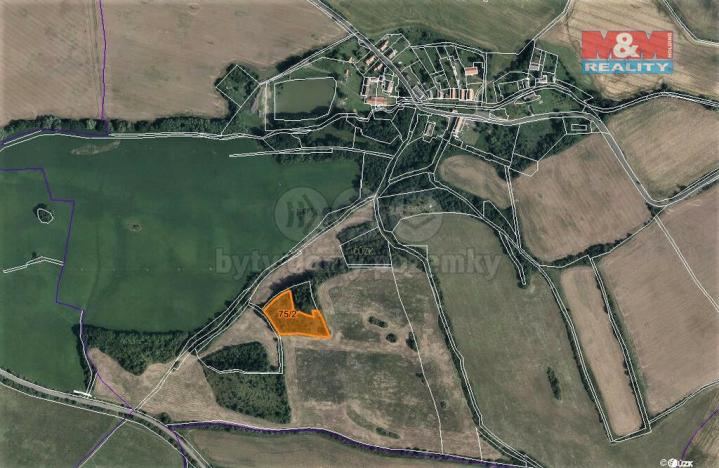 Prodej trvalého travního porostu, Mašťov - Dobřenec, 9839 m2