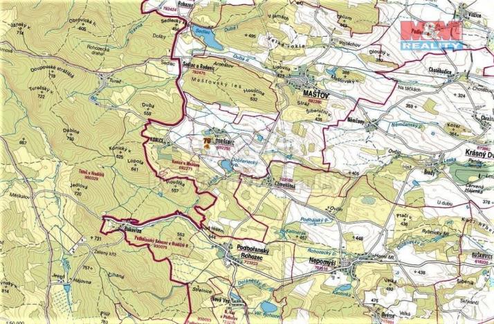 Prodej trvalého travního porostu, Mašťov - Dobřenec, 9839 m2
