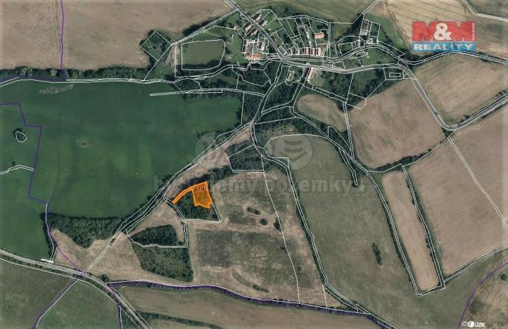 Prodej trvalého travního porostu, Mašťov - Dobřenec, 9839 m2