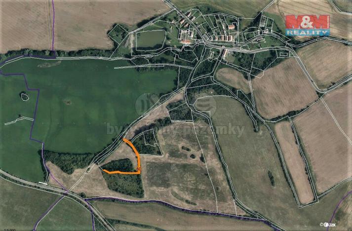 Prodej trvalého travního porostu, Mašťov - Dobřenec, 9839 m2