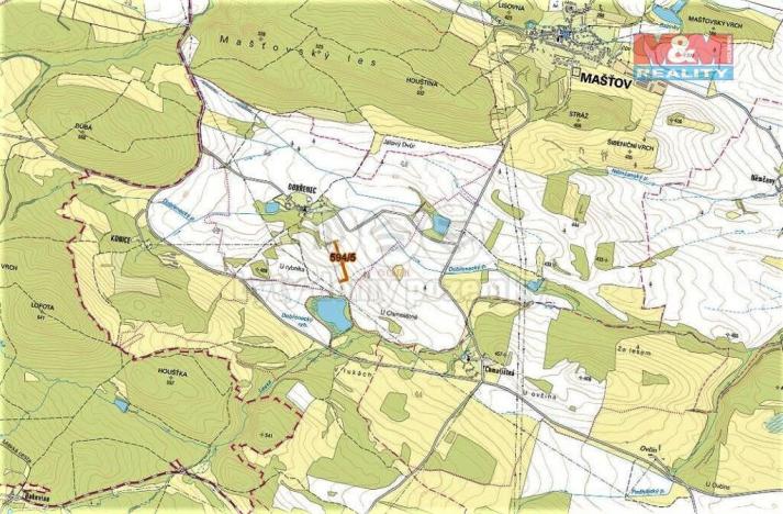 Prodej trvalého travního porostu, Mašťov, 2645 m2
