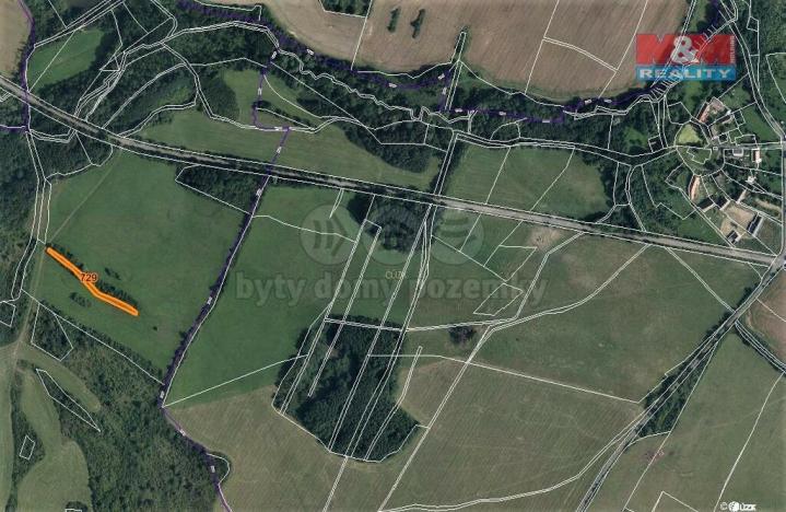 Prodej trvalého travního porostu, Mašťov, 1385 m2