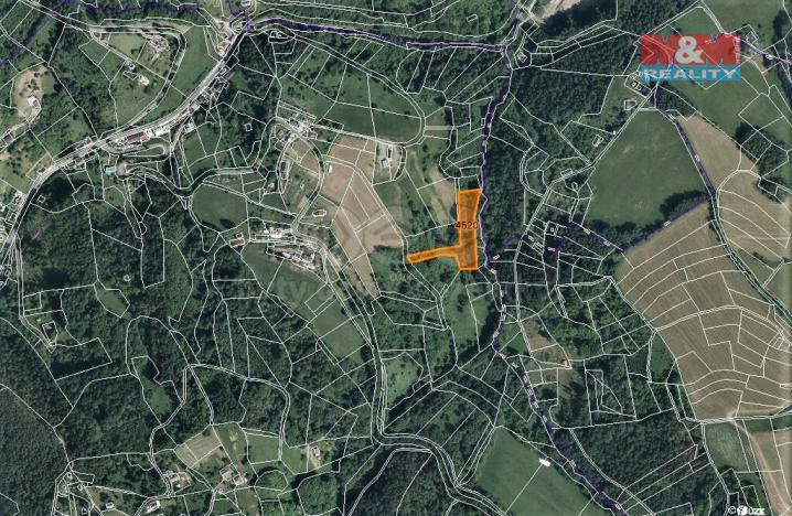 Prodej trvalého travního porostu, Koberovy, 6562 m2