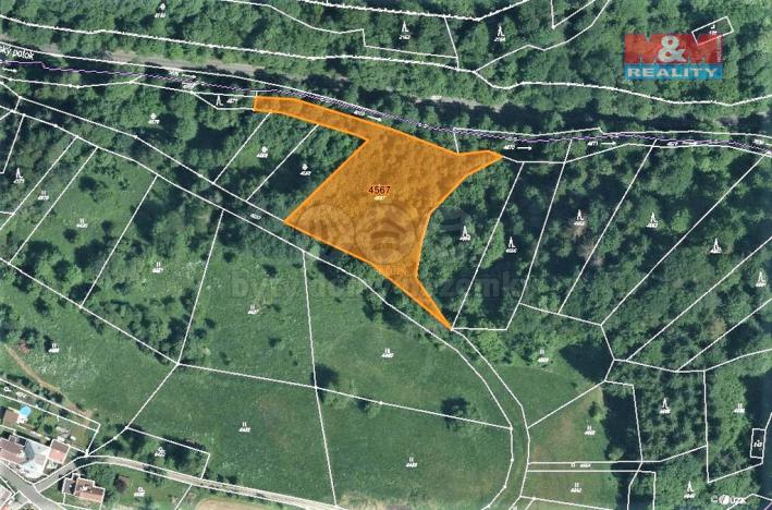 Prodej lesa, Koberovy, 3547 m2