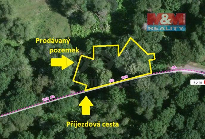 Prodej trvalého travního porostu, Chodová Planá - Michalovy Hory, 1188 m2