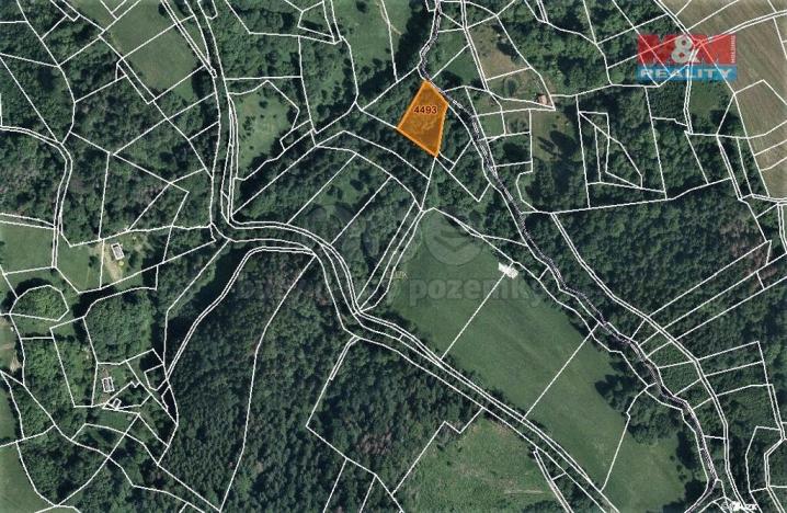 Prodej lesa, Koberovy, 2062 m2