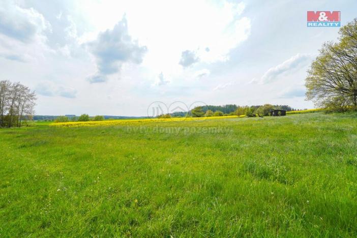 Prodej zemědělské půdy, Ostrov u Bezdružic - Pláň, 6672 m2