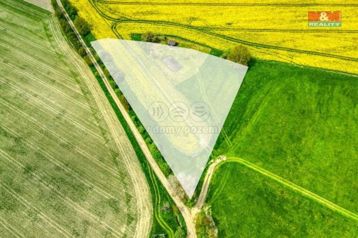 Prodej zemědělské půdy, Ostrov u Bezdružic - Pláň, 6672 m2