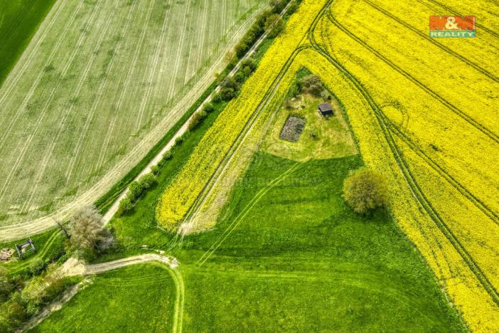 Prodej zemědělské půdy, Ostrov u Bezdružic - Pláň, 6672 m2