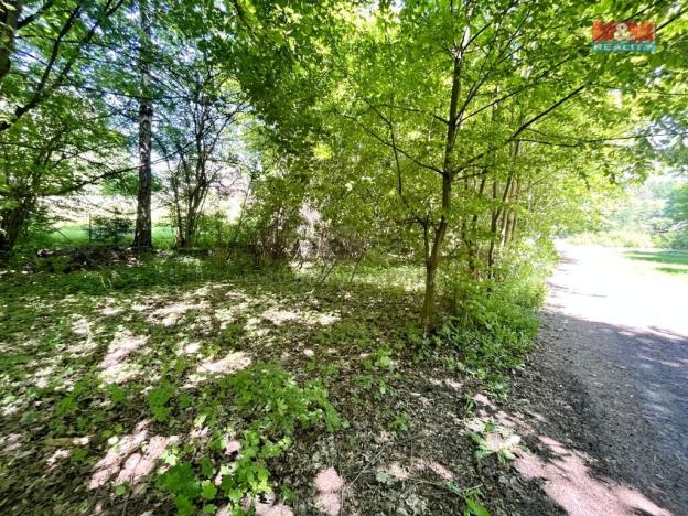 Prodej zahrady, Chřibská, 1281 m2