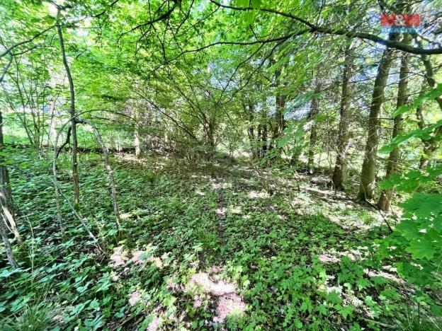 Prodej zahrady, Chřibská, 1281 m2