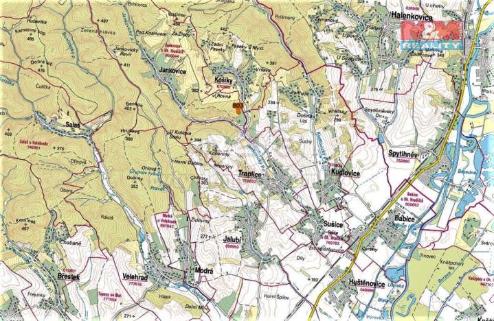 Prodej trvalého travního porostu, Jankovice, 4420 m2