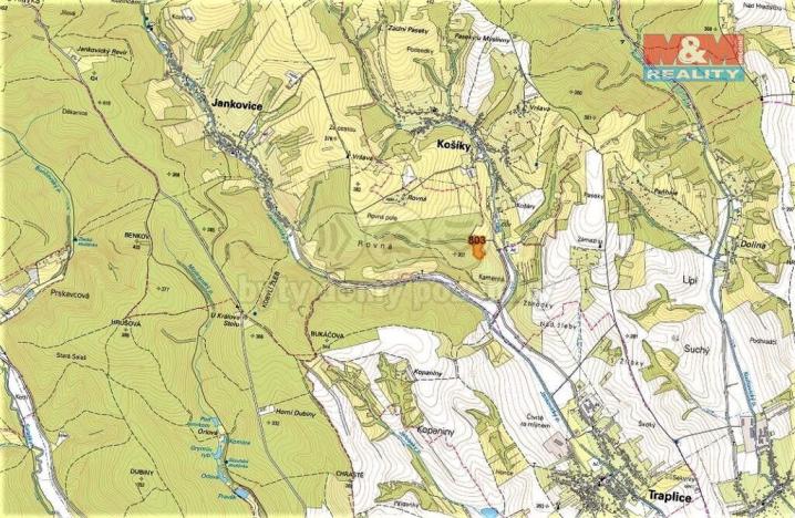 Prodej trvalého travního porostu, Jankovice, 4420 m2