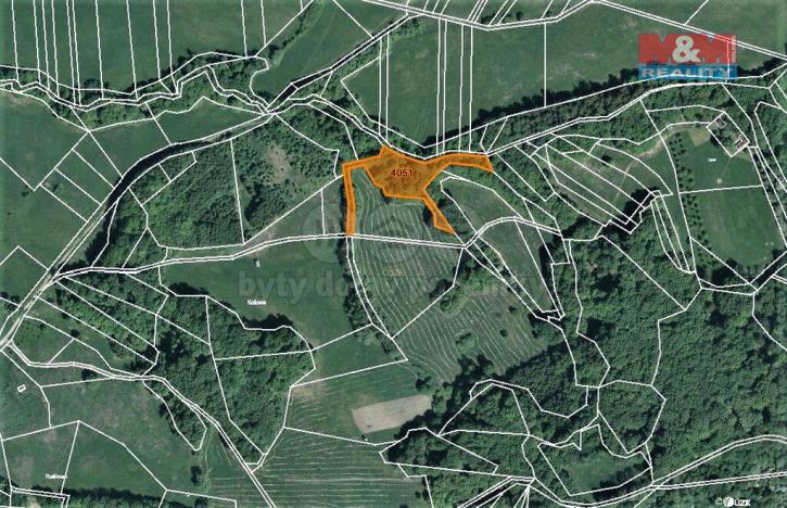 Prodej trvalého travního porostu, Nedašov, 962 m2