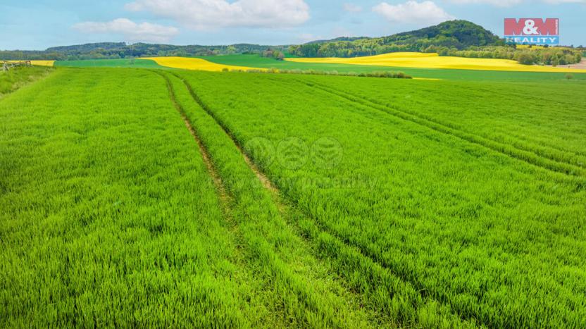 Prodej pozemku pro bydlení, Tachov, 33529 m2