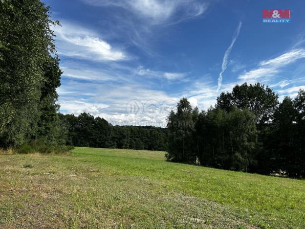 Prodej louky, Petrovice u Karviné - Prstná, 7691 m2