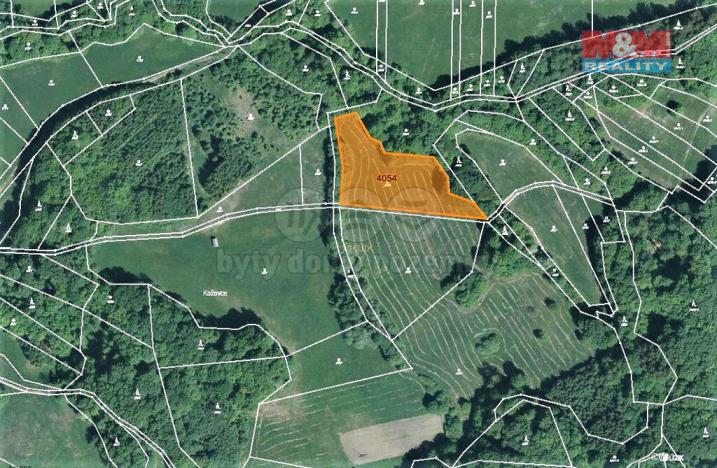 Prodej trvalého travního porostu, Nedašov, 1151 m2