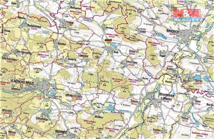 Prodej trvalého travního porostu, Dub, 3051 m2