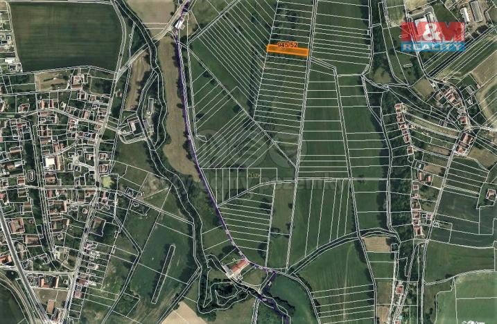 Prodej trvalého travního porostu, Cerekvice nad Loučnou, 1828 m2