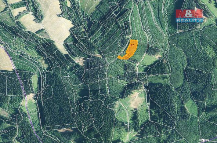 Prodej lesa, Lhota u Vsetína, 8758 m2