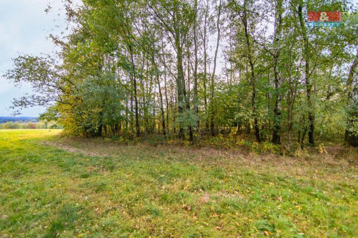 Prodej pozemku, Luby, 1966 m2