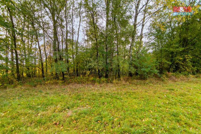 Prodej pozemku, Luby, 1966 m2