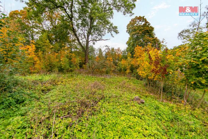 Prodej zahrady, Luby, 602 m2