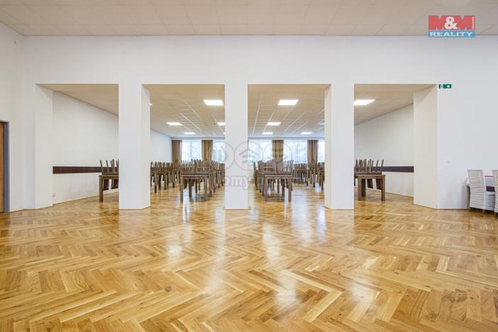 Pronájem komerční nemovitosti, Vřesina, Ovocná, 635 m2