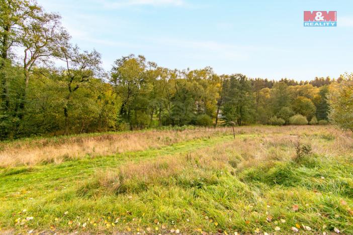 Prodej louky, Stará Voda - Sekerské Chalupy, 1446 m2
