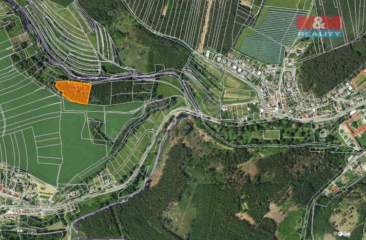 Prodej lesa, Malá Roudka, 9123 m2