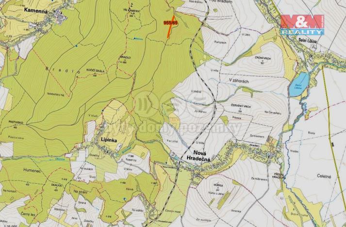 Prodej lesa, Nová Hradečná, 6647 m2