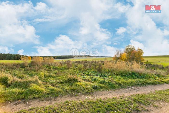 Prodej trvalého travního porostu, Vysoká Libyně, 672 m2