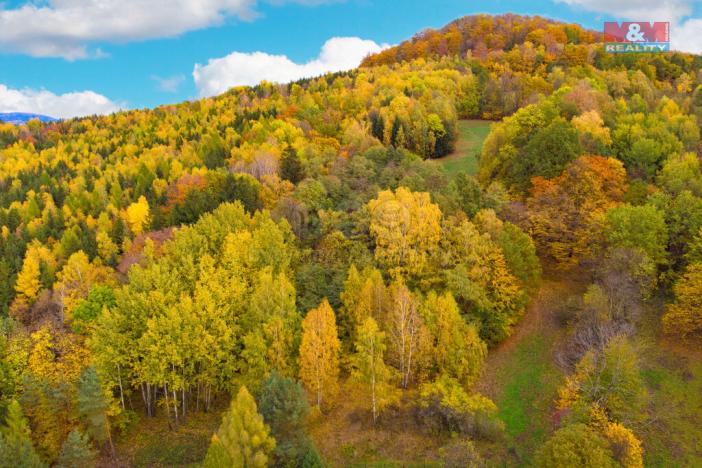 Prodej lesa, Skalice u České Lípy, 3004 m2